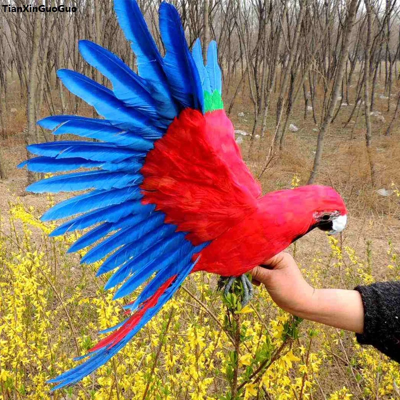 

simulation bird parrot hard model large 45x60cm red&blue feathers parrot spreading wings prop ,home garden decoration gift s1167