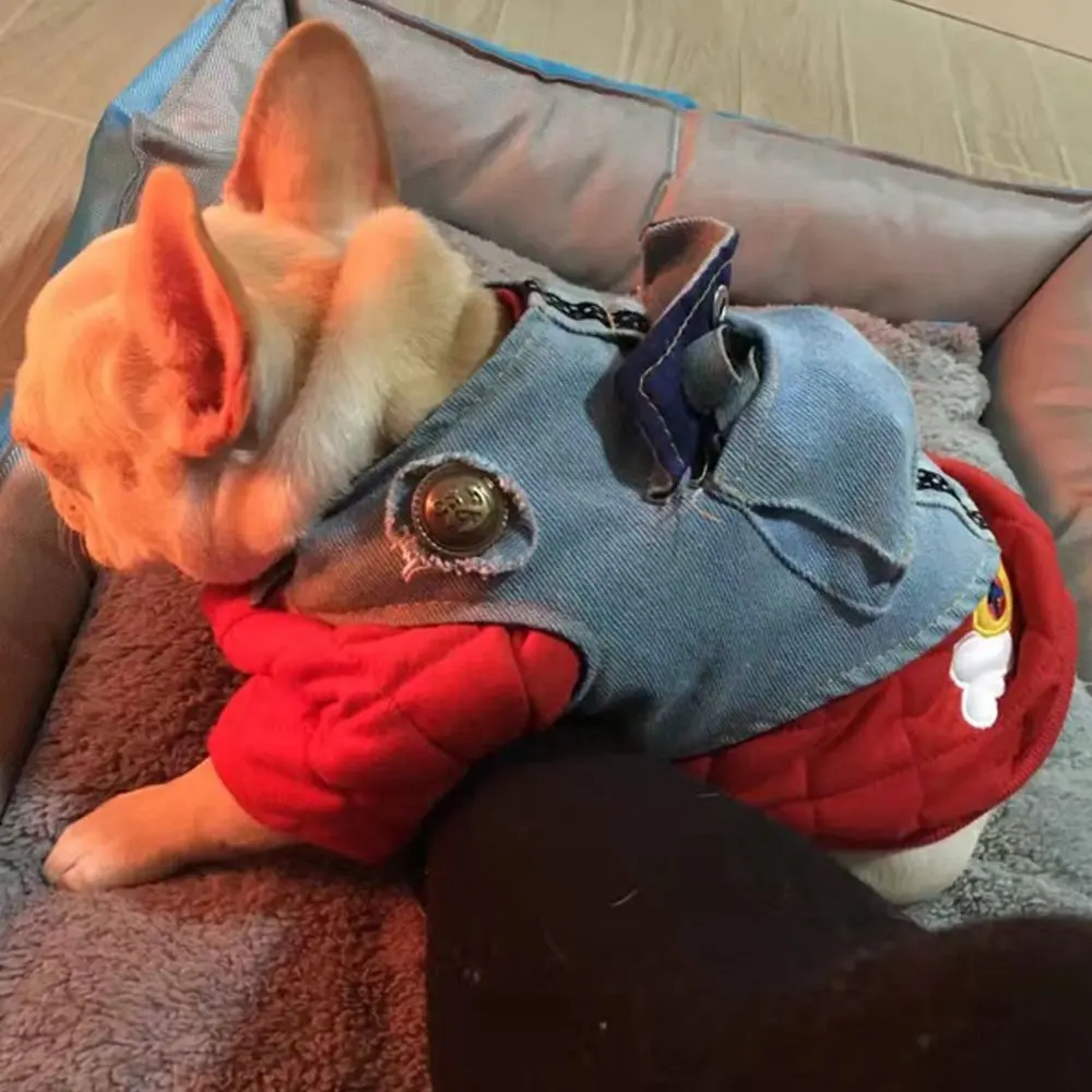Denim Dog Vest Harness Leash Set Stars for Small Medium Dogs Jeans Clothes Coat Apparel Wear Teddy Terrier Puppy Pet Supplies