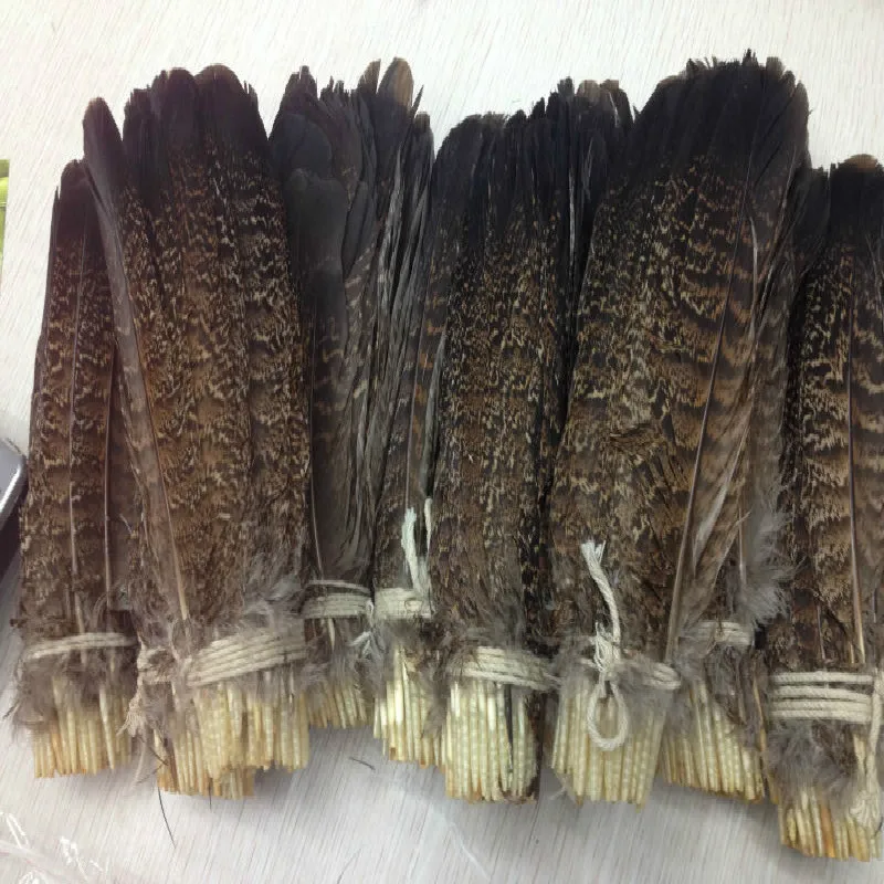 wholesale high quality 10pcs scare natural eagle feather 15-20cm / 6-8nch Decorative diy collect