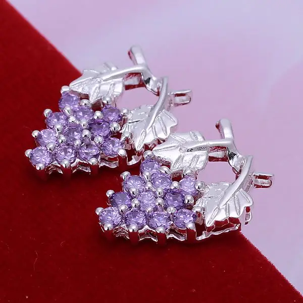 Earrings 925 Silver Earrings 925 Silver Trendy Jewelry Earrings Purple Grapes Jewelry Wholesale Free Shippig oakh LE040