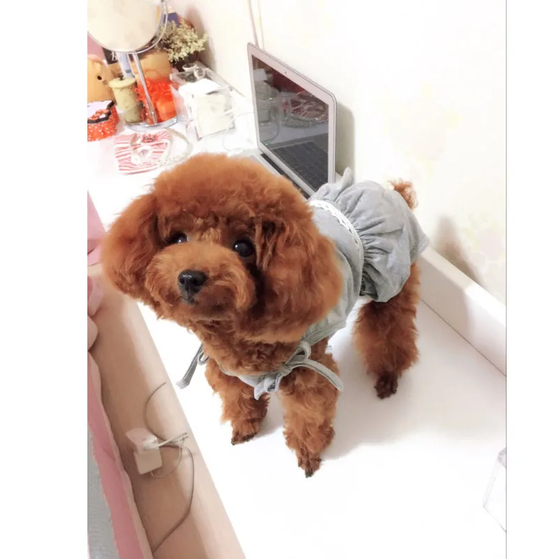 Dog Physiological Pants Dog Shorts S-XL Pet Puppy Dog Cat Washable Female Diaper Sanitary Jumpsuit Underwear Brief Puppy Product