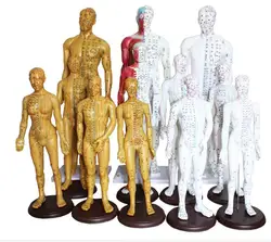 Human Chinese-English body acupuncture point model meridian model of acupuncture points 26cm/ 48cm/50cm for male and female