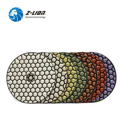 Z-LION 4