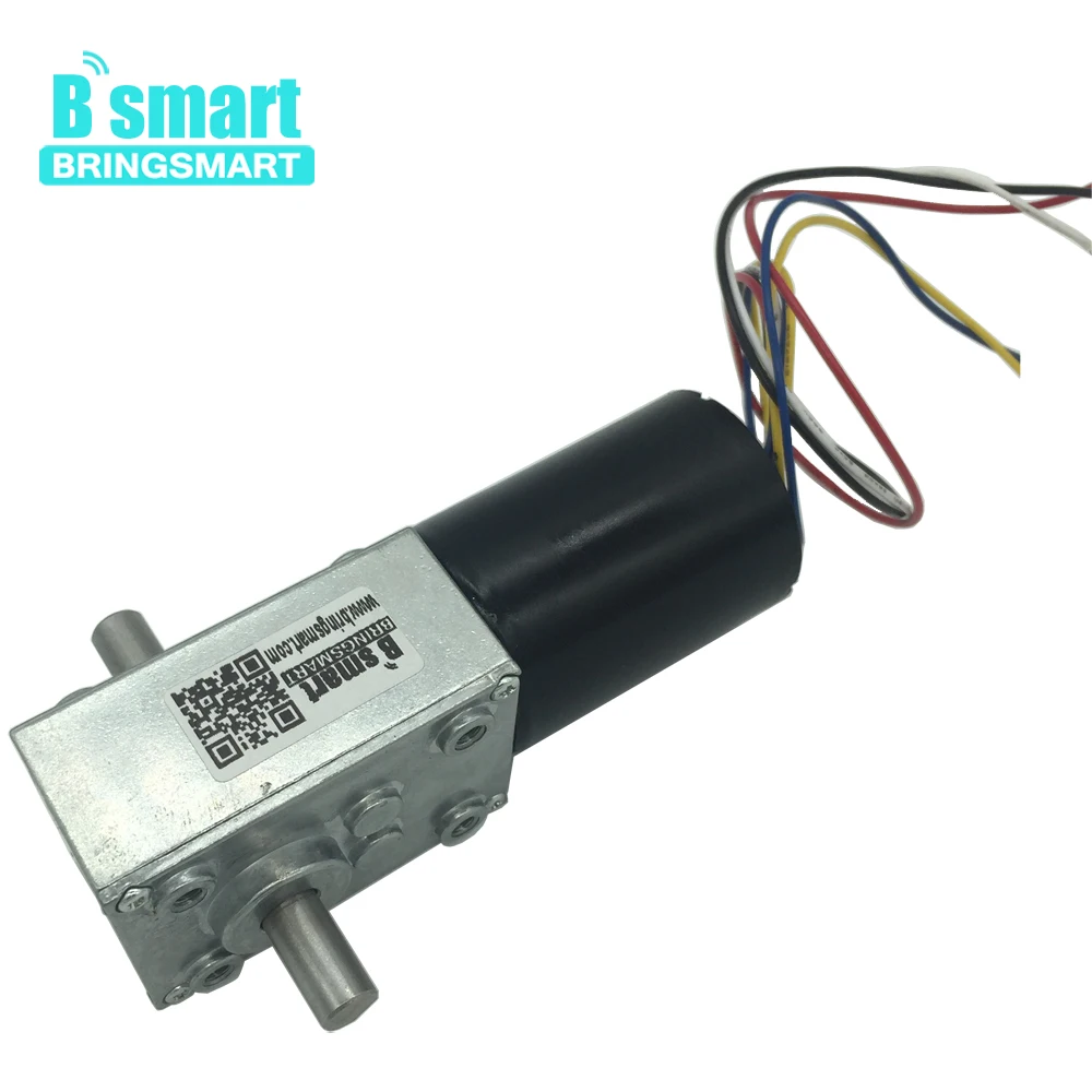 

Double Shaft Mini Gearbox 5840-3650 DC Motor Reductor 12/24V Worm Gear Motor Brushless Motor Self-lock Brake Engine