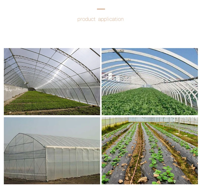Tewango Greenhouses Repair Tape 10CM/20CM/30CM x 10M Extra Strong Adhesive Mylar Repair Roll UV Patch Clear Blue Garden Tools