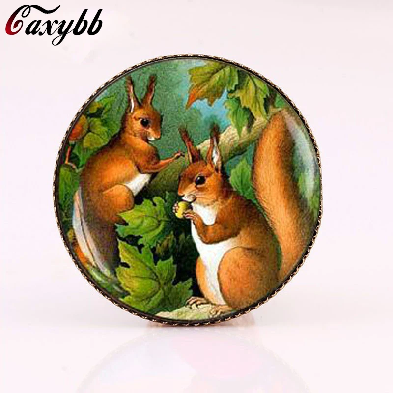 Caxybb brand Squirrel Art Vintage Bijoux brooch Forest  Animal Lover's Gift  glass dome brooches women Brooch Hot