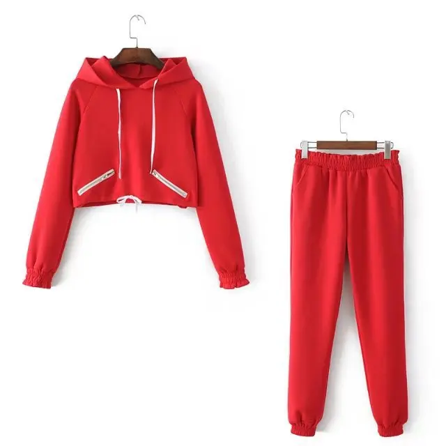 Reißverschlüsse Rüschen Zwei 2 stück set Frauen Set Hoodies Sweatshirts mit Hose Trainingsanzug Pullover Top Weibliche Outfit Casual Sweatsuit