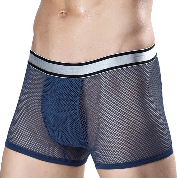 

L-3XL High Elastic Ice silk Transparent Gauze Breathable Boxer shorts Underwear Gay Sexy U Convex Solid Boxers male panties WS11