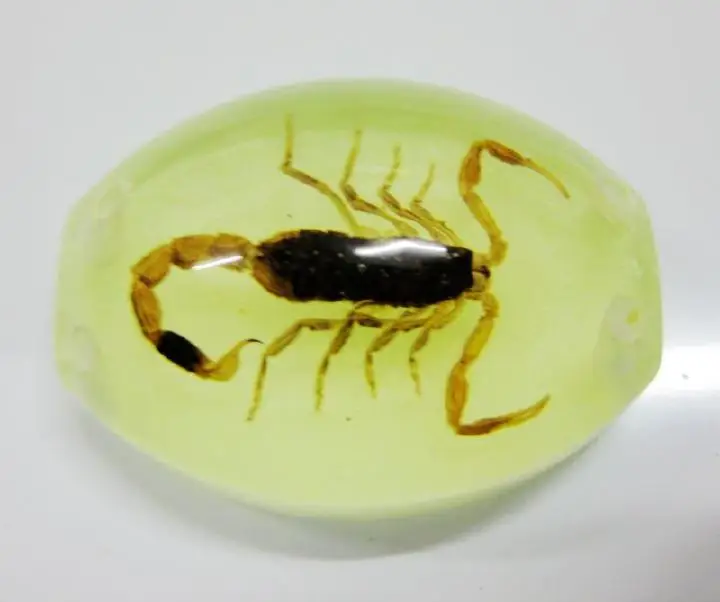 Chinese Natural Insect Accessories Jewelry Gold Scorpion Glow in the dark