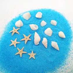 40piece 1-2cm Cute Starfish Natural Sea Shell Beads Mixed Jewelry Making Glass Vial Pendants Glass Globe Filler DIY Material