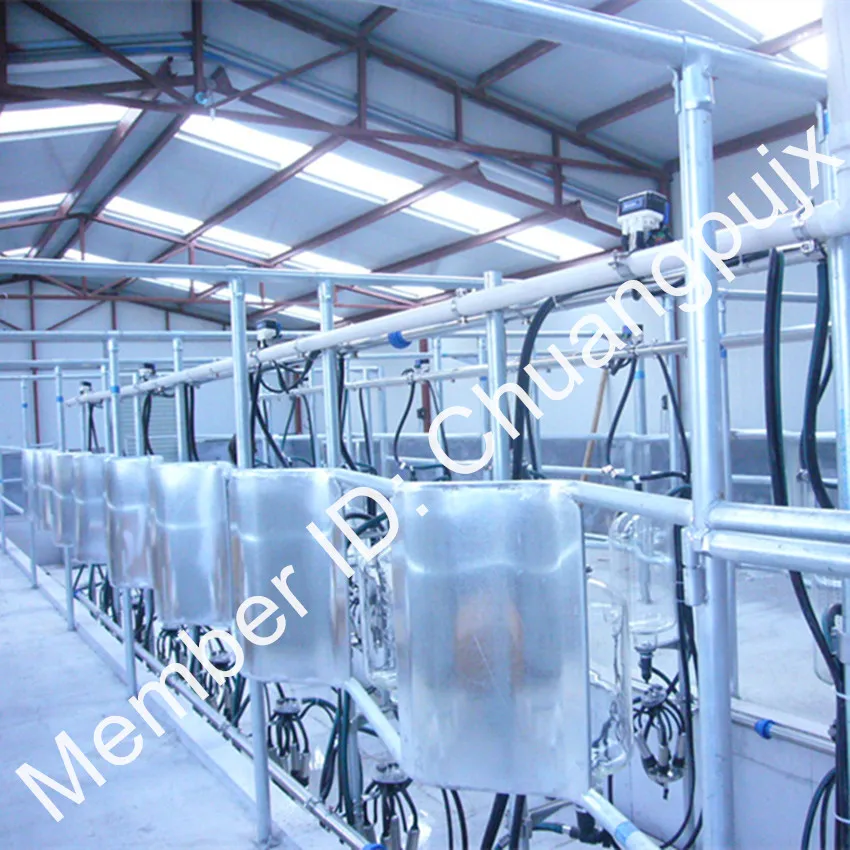 Glass Milk Recorder Herringbone Milking Parlor System