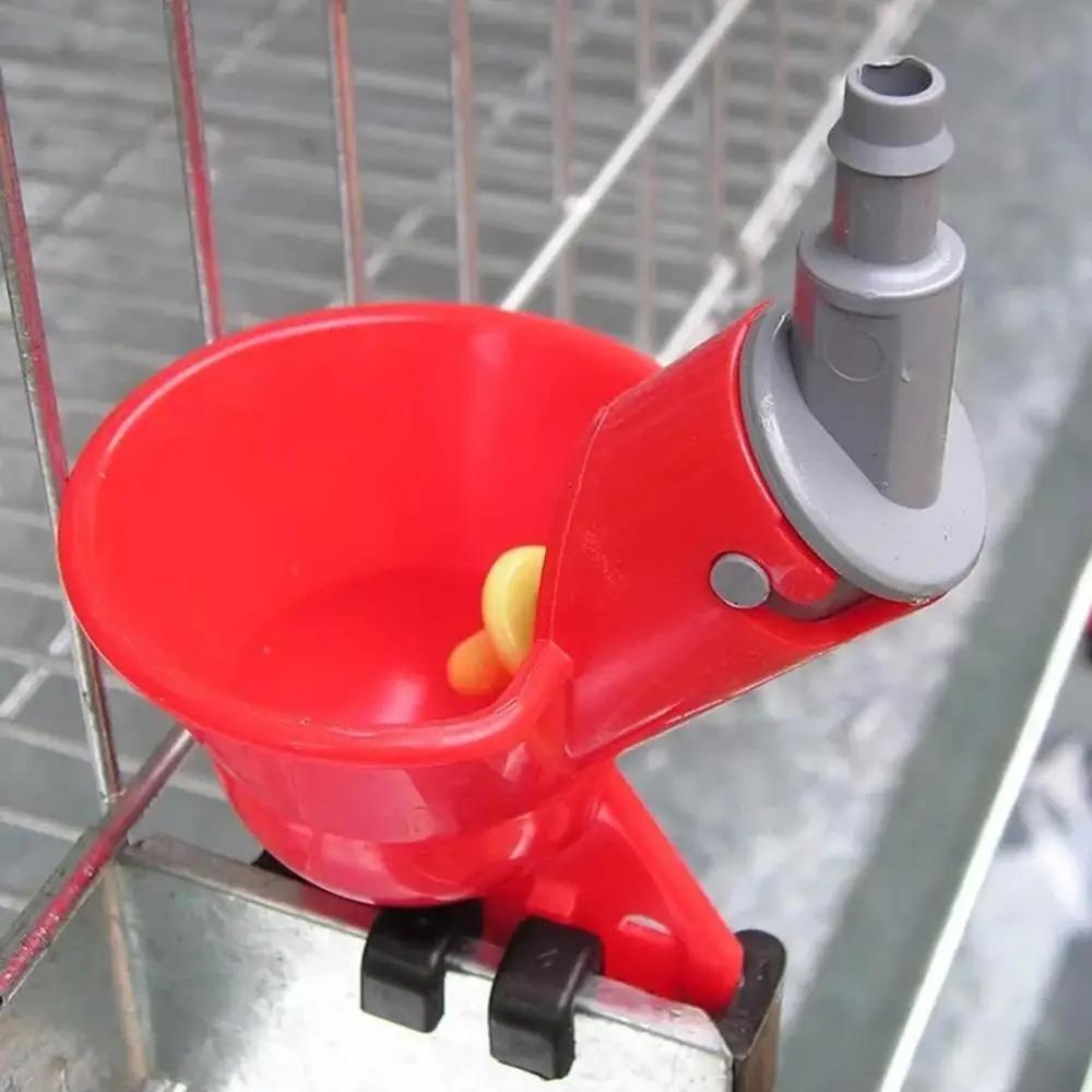 10 pcs Quail Waterer Animal Feeders Automatic Bird Coop Feed Poultry Chicken Fowl Drinker Water Drinking Cups