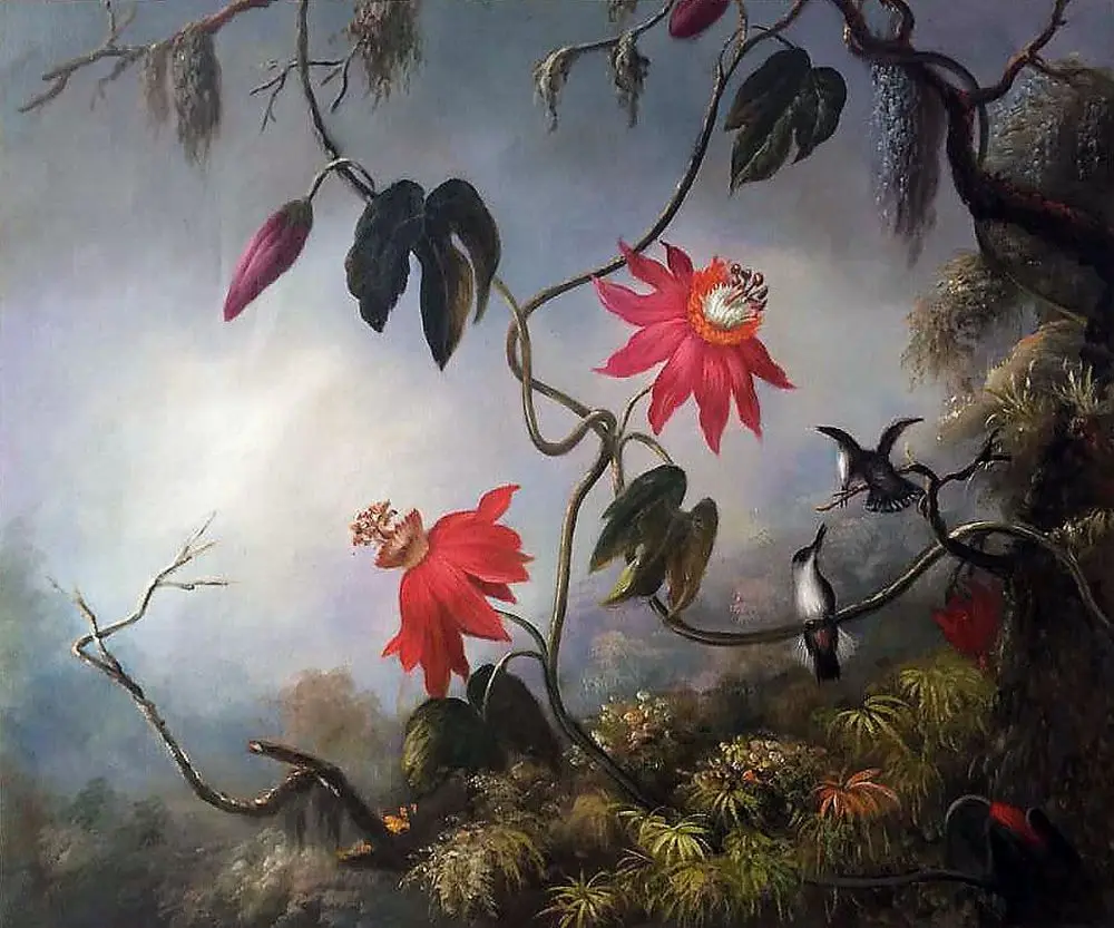 Passion Flowers with Hummingbirds, 1893 by Martin Johnson Heade Decorative Painting Flower Oil Painting for Kitchen High Quality