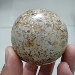 5-6cm Awesome! Dinosaur Bone Fossil Crystal Ball Sphere Madagascar