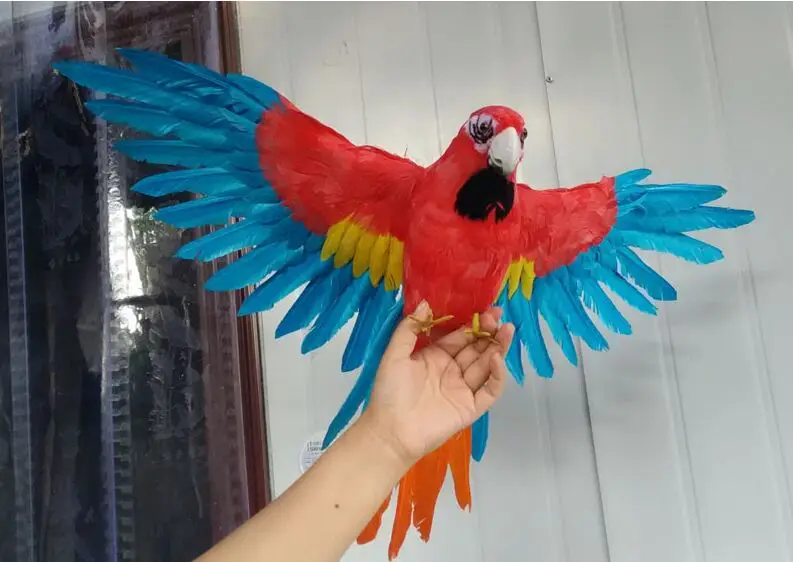 simulation parrot model colourful feathers bird spreading wings parrot large 40x60cm handicraft,prop,home decoration gift a2809