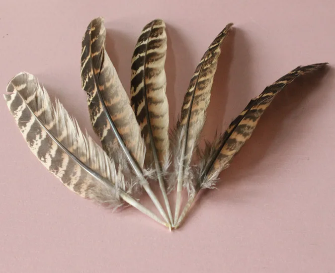 wholesale 100pcs high quality natural hen feathers 12-18cm / 5-7inch variety of decorative and collect