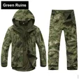 07 Green Ruins