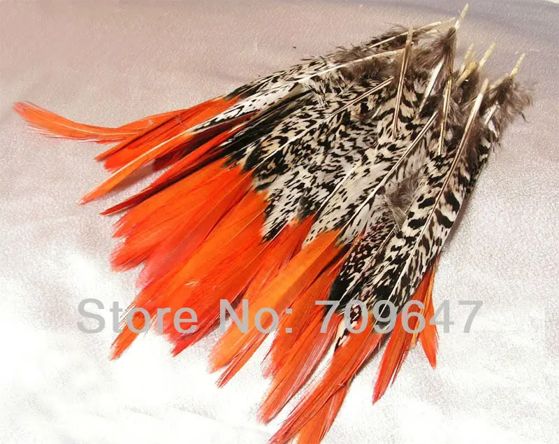 

Pheasant Feathers! 30PCS/LOT 20-25cm 8-10inches LOOSE NATURAL Orange Tips Lady Amherst Pheasant Feathers FOR FLY TYING