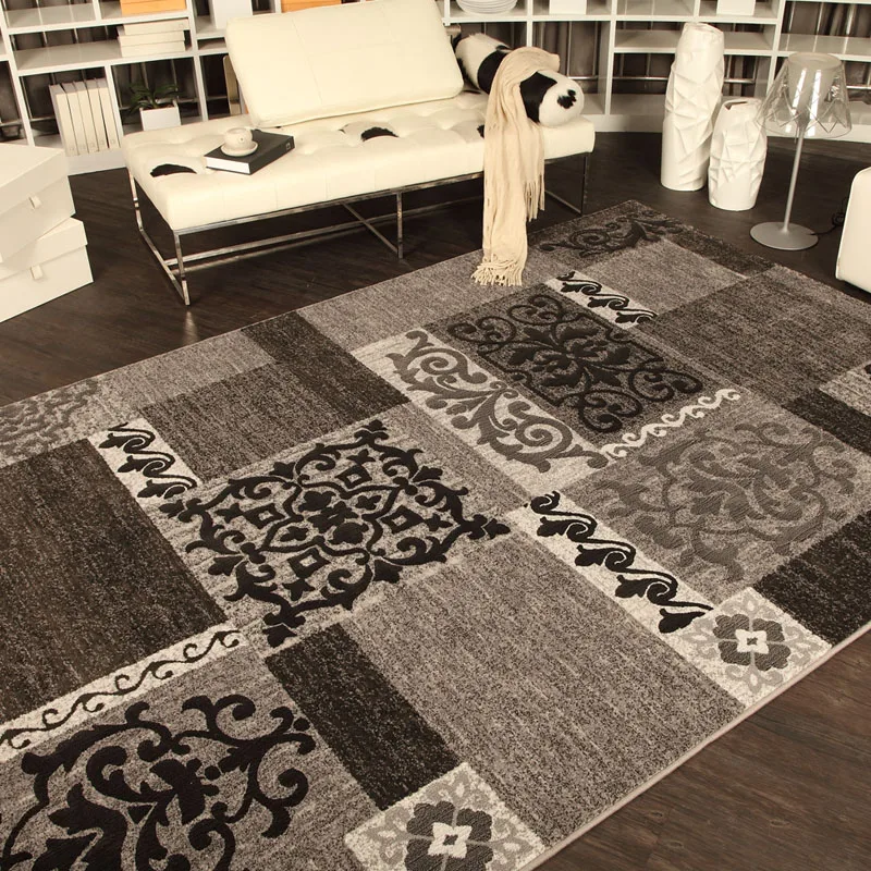 Ministering carpet fashion living room coffee table carpet bed blankets mats brief modern carpet entrance mats