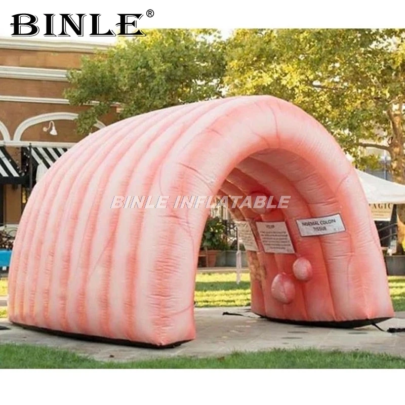 Popular teaching use giant inflatable colon dome custom inflatable intestine organ tunnel tent for medical display