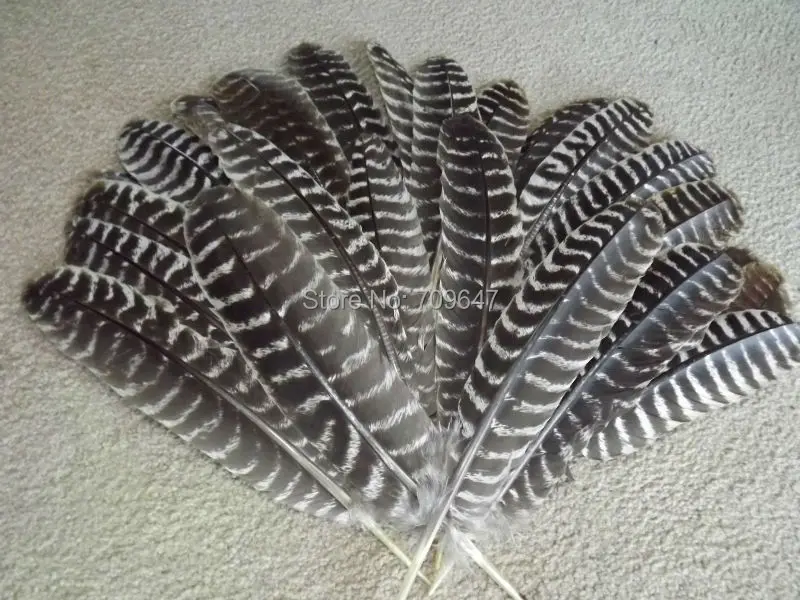 

20Pcs/Lot!25-35cm Long Turkey Wing feather quills, natural brown barred feather,real feather for millinery, DIY crafts, decor