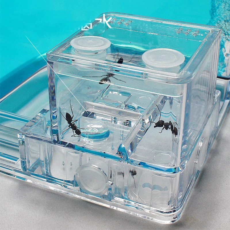 Ants Farm Ants House Castle Transparent Insects Terrarium Ant Cage Insects Observed Box Nursery Ecological Educational Model Toy
