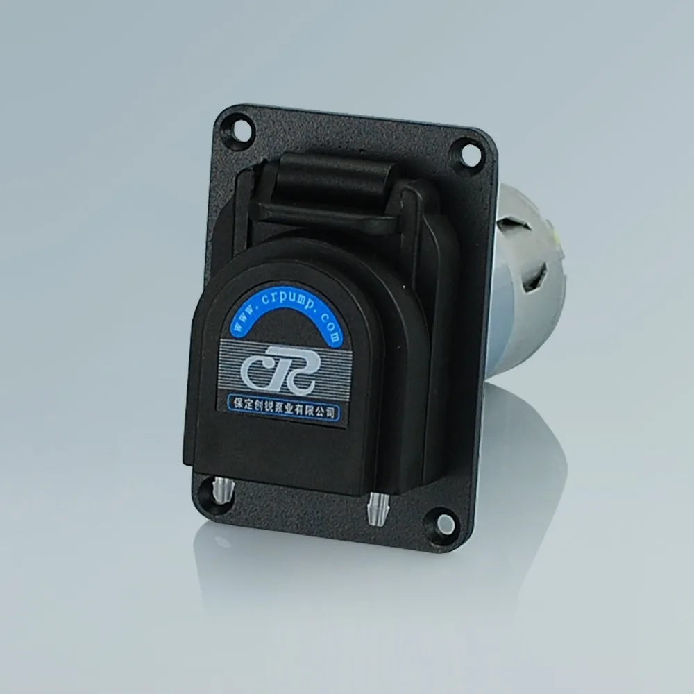 Mini Peristaltic Pump for Small Volume Transfer OEM209