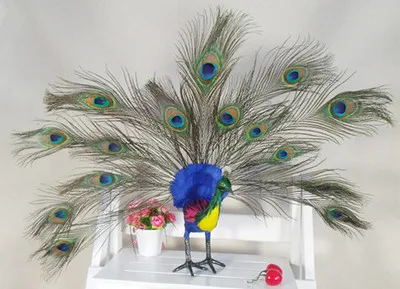 

simulation cute colorful peacock 53x13x10cm model polyethylene&furs bird model home decoration props ,model gift d690