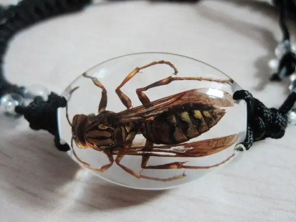 

12 pcs design jewelry real honeybee lucid bottom