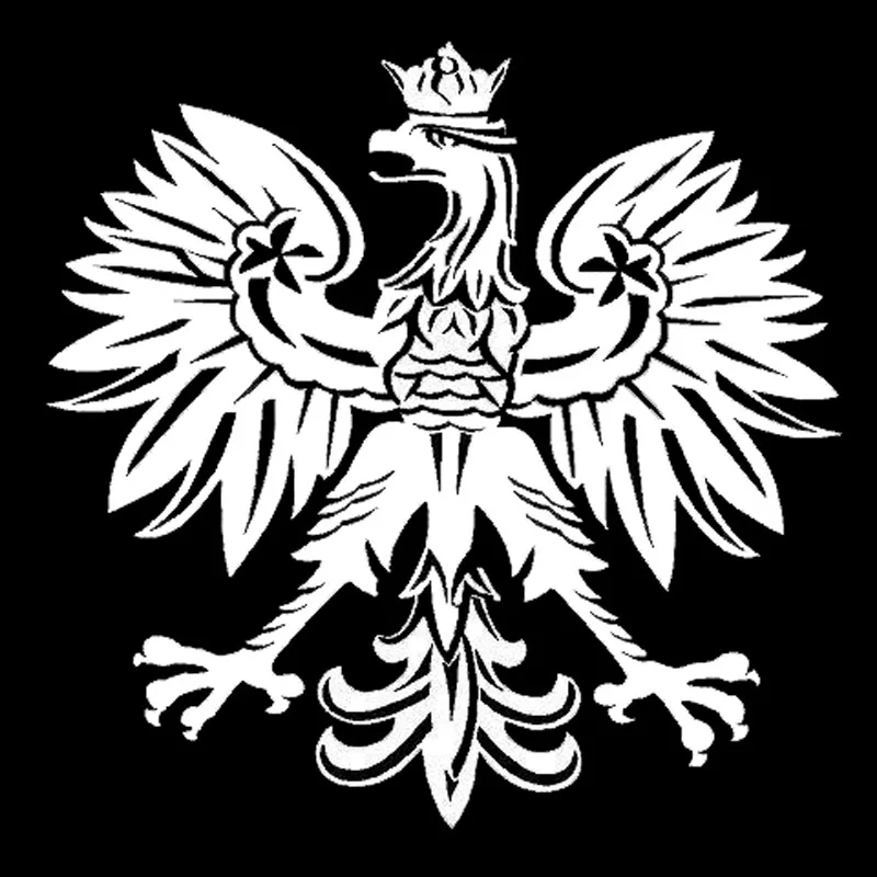 15.2*15.1CM Polish Eagle Poland Symbol Fashion Car Stickers Animal Pattern Car Styling Decal Black/Silver C9-2158