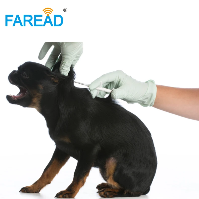 X100pcs ISO11784/85 125 كيلو هرتز تروفن الحيوان الحيوانات الأليفة رقاقة حقنة FDX-A 1.4x8 مللي متر المتاح تتفاعل العلامة ID حقنة مع إبرة