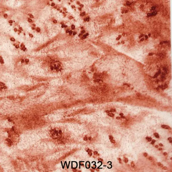 

WW051 Decorative Material 1x50m wood grain water transfer printing film hydrographics printing film