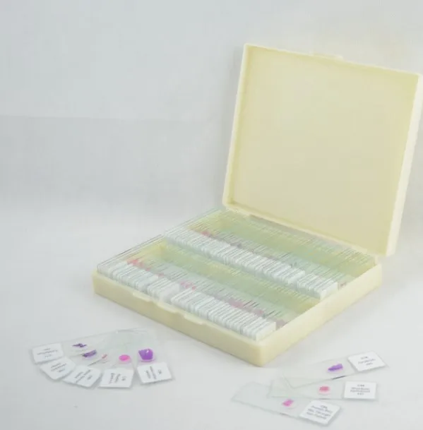 

100 Pcs Biological prepared microscope slides