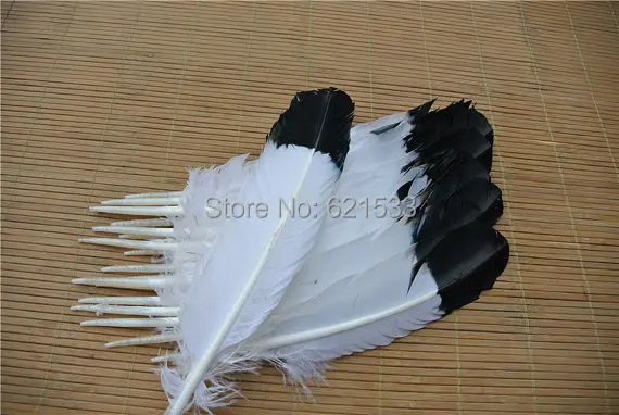 100pcs/lot! 12-14inch (30-35cm) white with black top Turkey Rounds Quill Wholesale Feathers,Turkey  Quills,