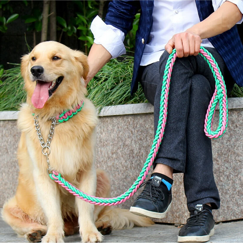 Double Strand Rope Large Dog Leashes Metal P Chain Buckle Contrast Colorful Pet Traction Rope Collar Set Firm 1.2m Length