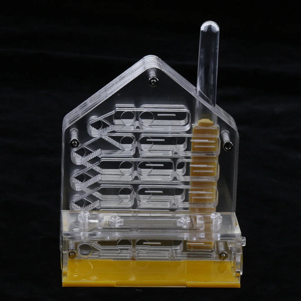 Clear Ant Feed Farm Formicarium Box Moisturizing 10x6x12cm