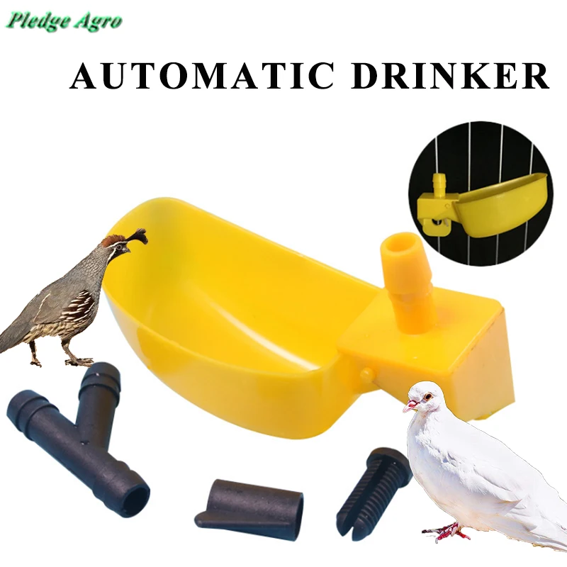 Bacia bebendo das aves plásticas, codorna bebedor, pombos acessórios, bebedor da gaiola, Waterer, molhar, automático, pássaros, 2pcs