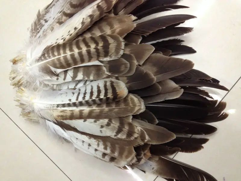 Wholesale perfect  52pcs  Rare  high quality natural Owl tail feathers 10-16inch/25-40cm  Decorative diy