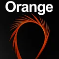 12 piezas de color naranja