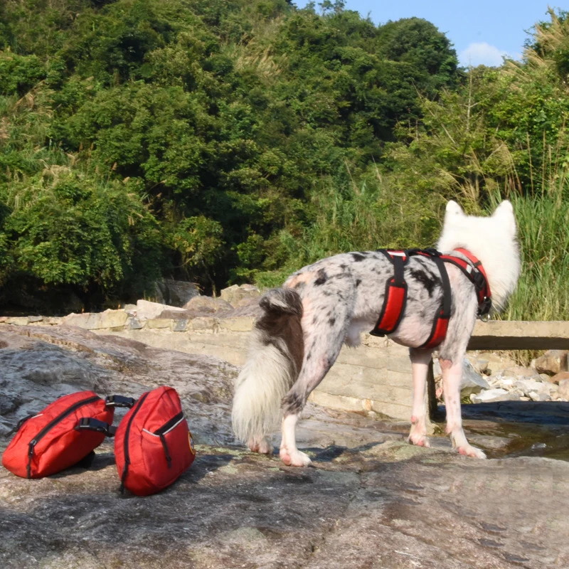 Imagem -03 - Colete de Arnês Removível para Cães Mochila Reflexiva Alforjes ao ar Livre Viagens Camping Caminhadas Cães Médios e Grandes