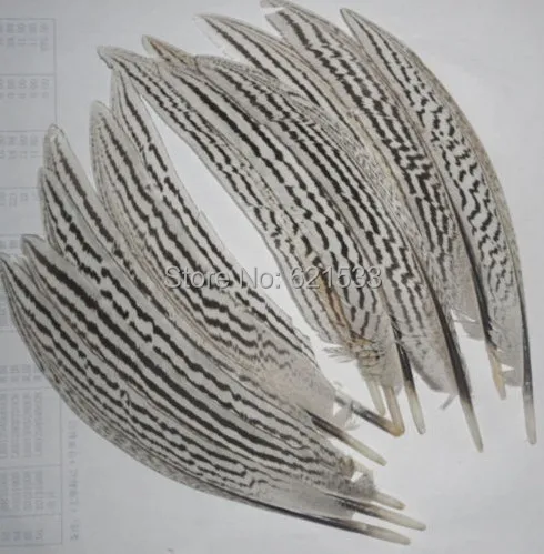 

50Pcs/lot!Silver Pheasant Quills-Natural,8-10" 20-25cm Silver Pheasant Quill feathers for jewelry making,craft&projects.