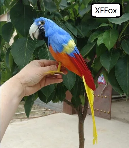 new real life blue parrot model foam&feather simulation parrot bird gift about 30cm xf0121