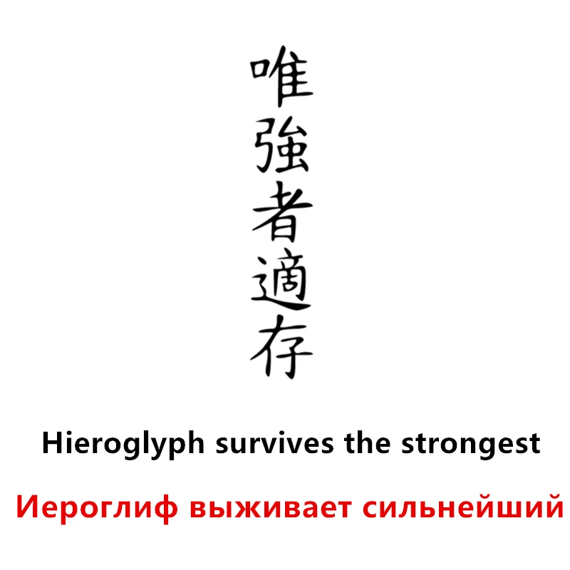 Hieroglyph survives the strongest funny car sticker vinyl decal white/black for auto car stickers styling