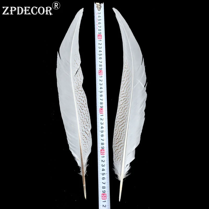 Silver Pheasant Tail Feathers, Customized Color, 45-50 cm, 18-20 Inch