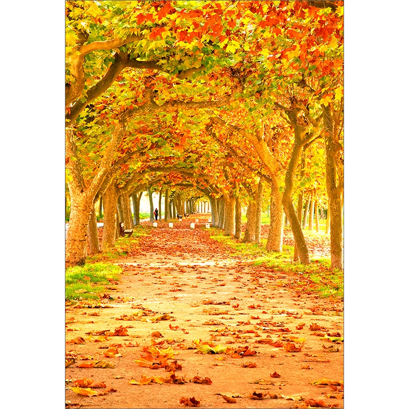 Allenjoy autumn photophone backgrounds for photography studio tree orange path leaves backdrop photo studio photocall new