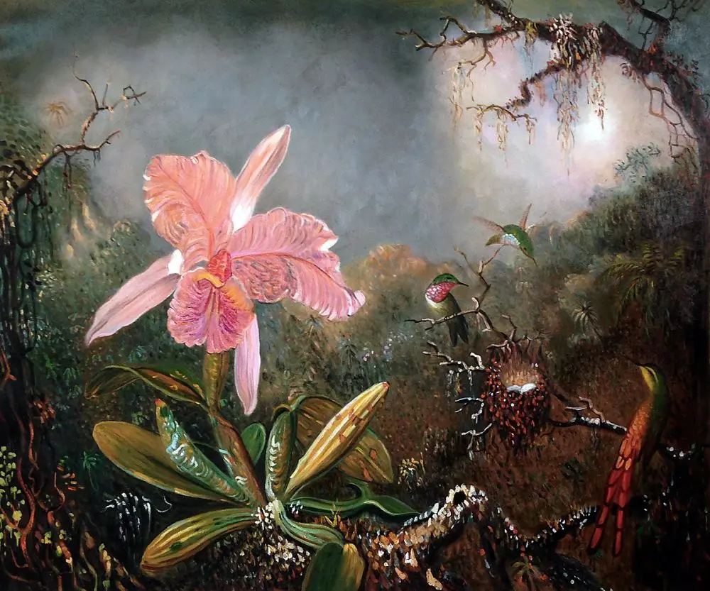 Landscape Art Flower Oil Painting Cattleya Orchid and Three Hummingbirds, 1871 by Martin Johnson Heade Painting Reproductions