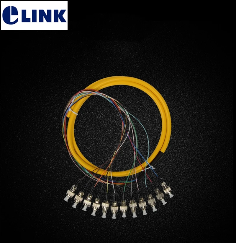 

12port FC bundle fiber pigtails 1.5M SM optical fiber G652D cable A class ferrule ftth FC UPC connector factory supply ELINK