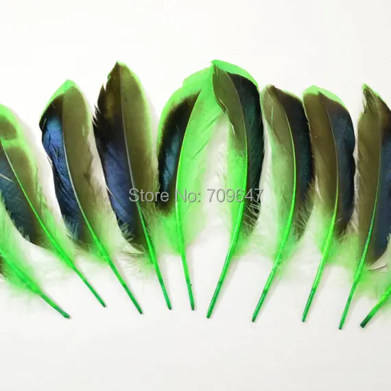 100pcs/Lot 8-12cm Mallard Duck Feathers Duck Quill Feather Iridescent Blue Wing Feathers dyed Green colour