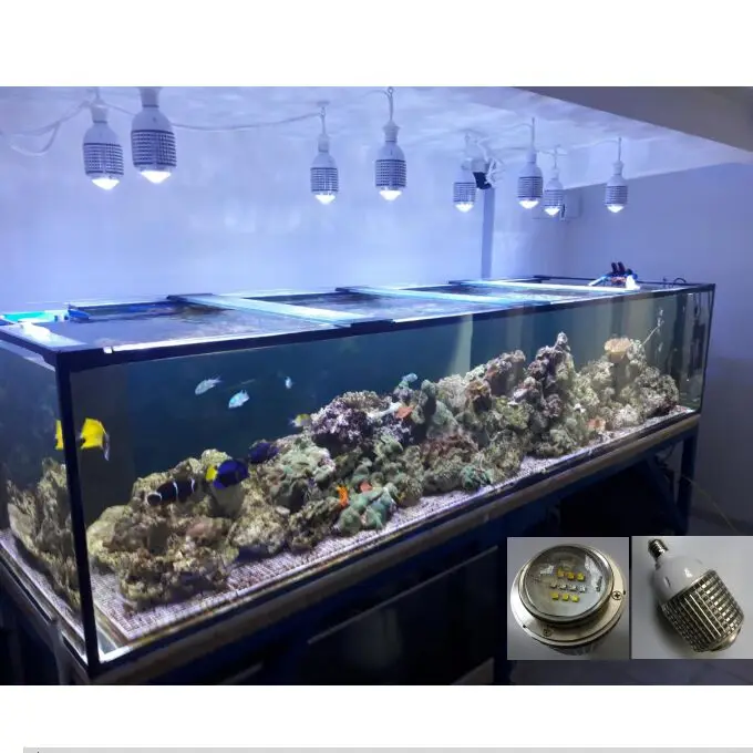 High Power 30W CREE LED Aquarium Light Reef LED lighting Plant bulb for Fish Marine Coral Reef Alage SPS LPS