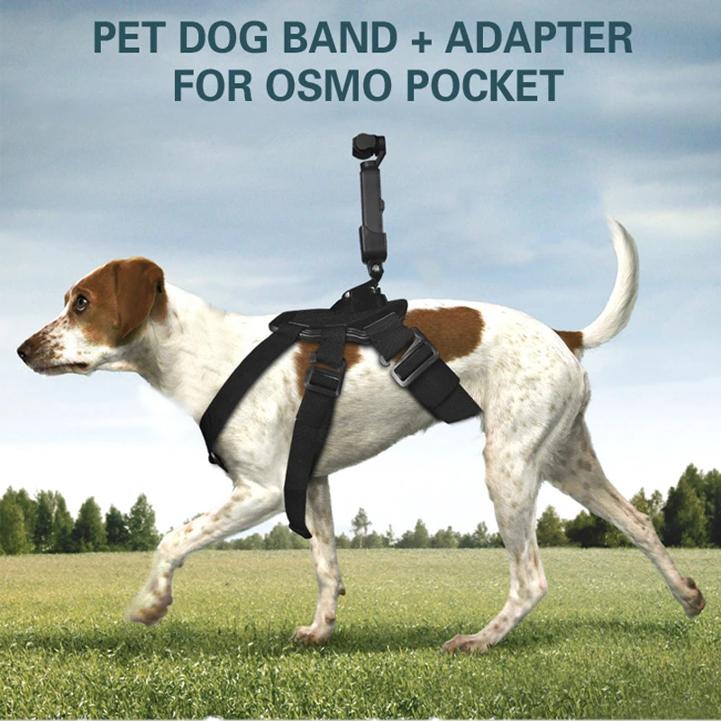 

6in1 For pet dog band Straps belt Back band for gopro hero osmo action camera dji Pocket / Pocket 2 camera Accessories